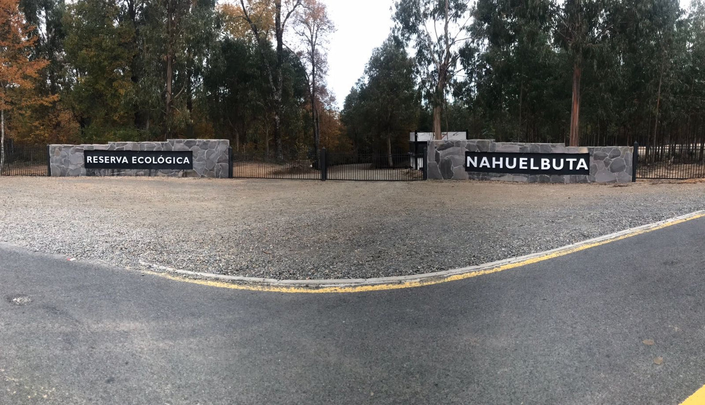 Parcela proyecto Eco Nahuelbuta