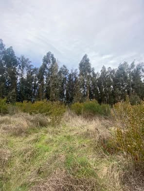 En venta Lomas de Itraque