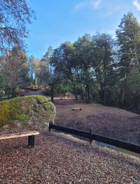 Parcela proyecto Eco Nahuelbuta
