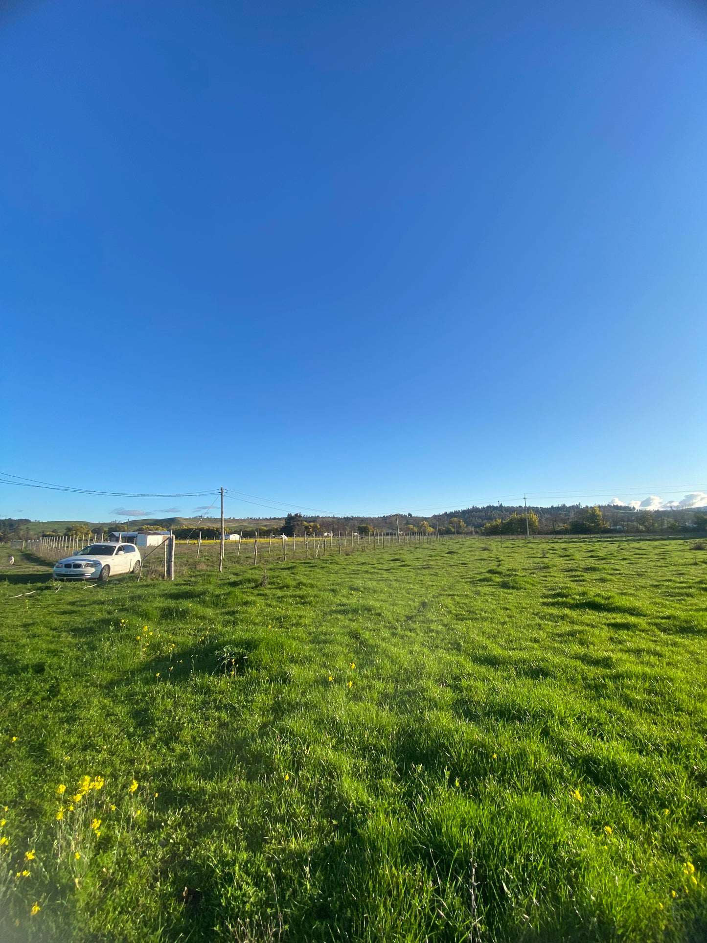 EN VENTA PARCELA 5.000 m² – CAMINO INTERIOR SECTOR EL PARQUE | ANGOL