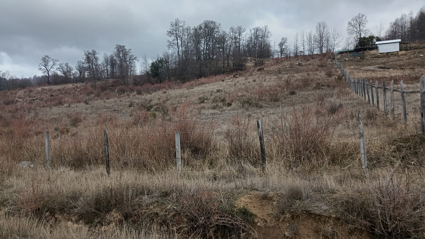 Parcela en Venta – Proyecto Los Robles