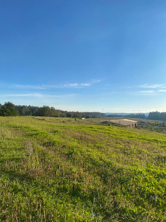 En venta parcela de 1,5 hectáreas en sector La Cabaña, Itraque