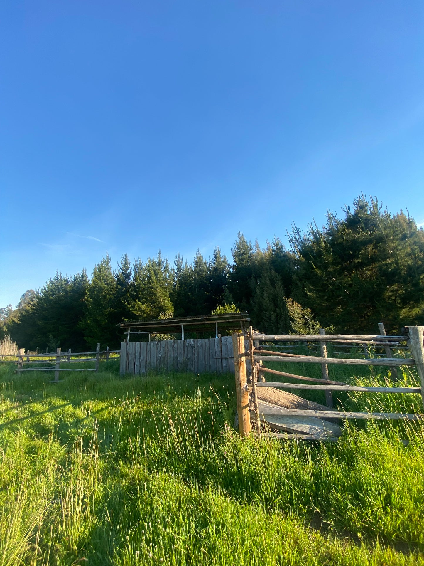 En venta parcela de 1,5 hectáreas en sector La Cabaña, Itraque