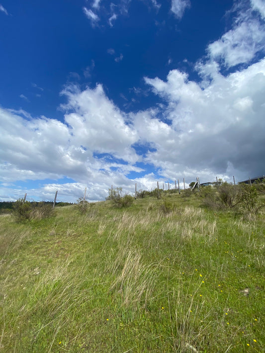 🏡 Parcela en Venta en Proyecto Altos del Olivo | Excelente Oportunidad de Inversión