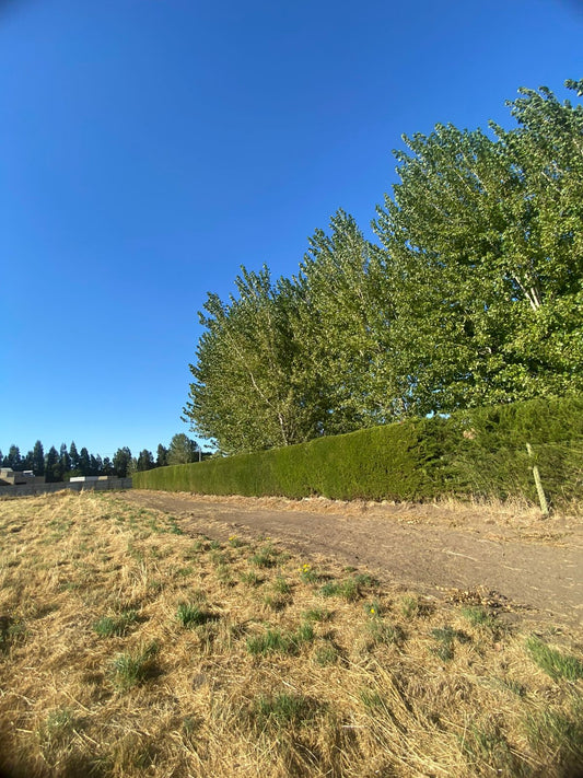 Lote en Sector Vados Buenos Aires – Rol Inscrito | Alta Plusvalía