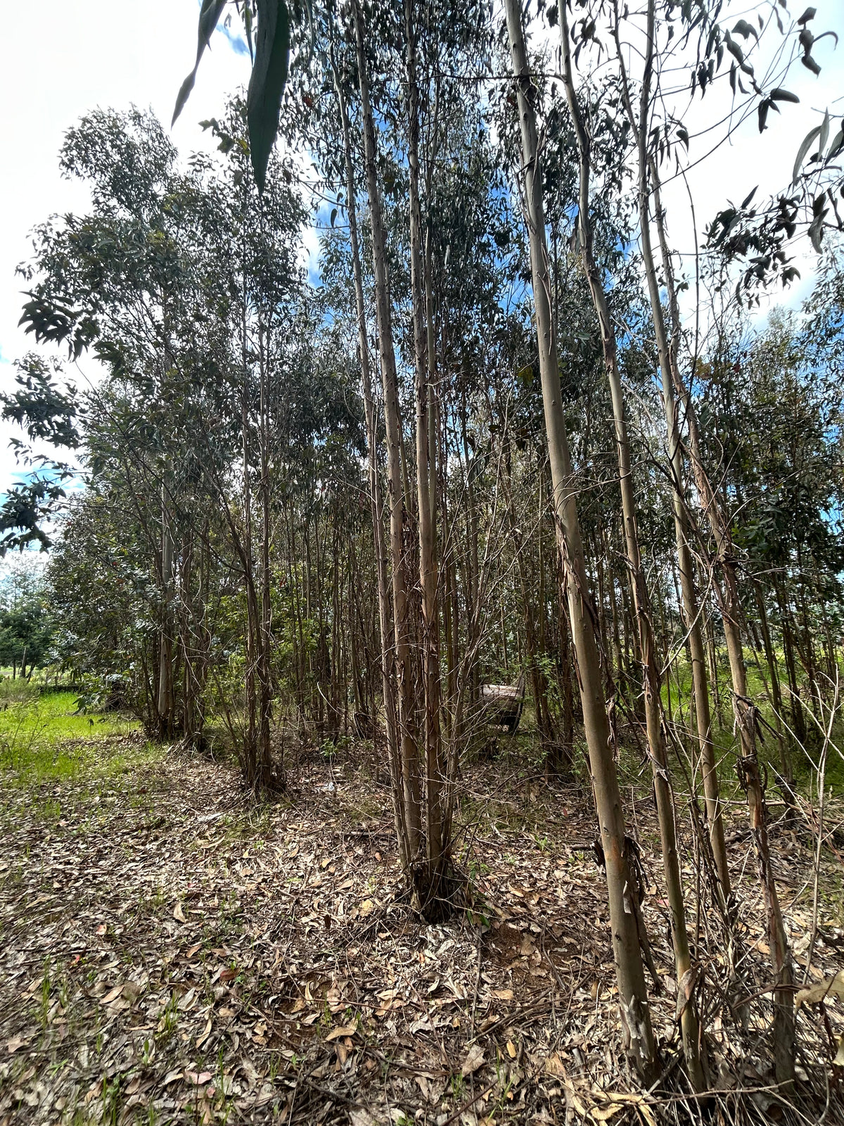 Valle San Juan etapa II