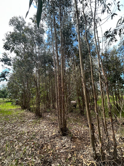 Valle San Juan etapa II