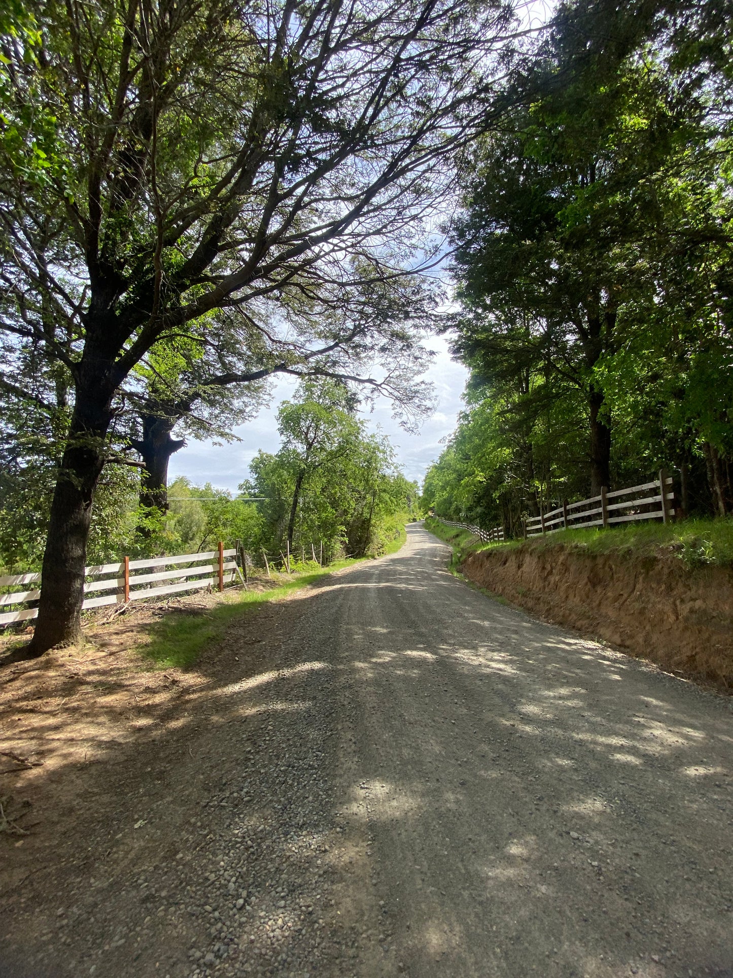 🌄 Proyecto Parcelas Altos de Nahuelbuta – Venta