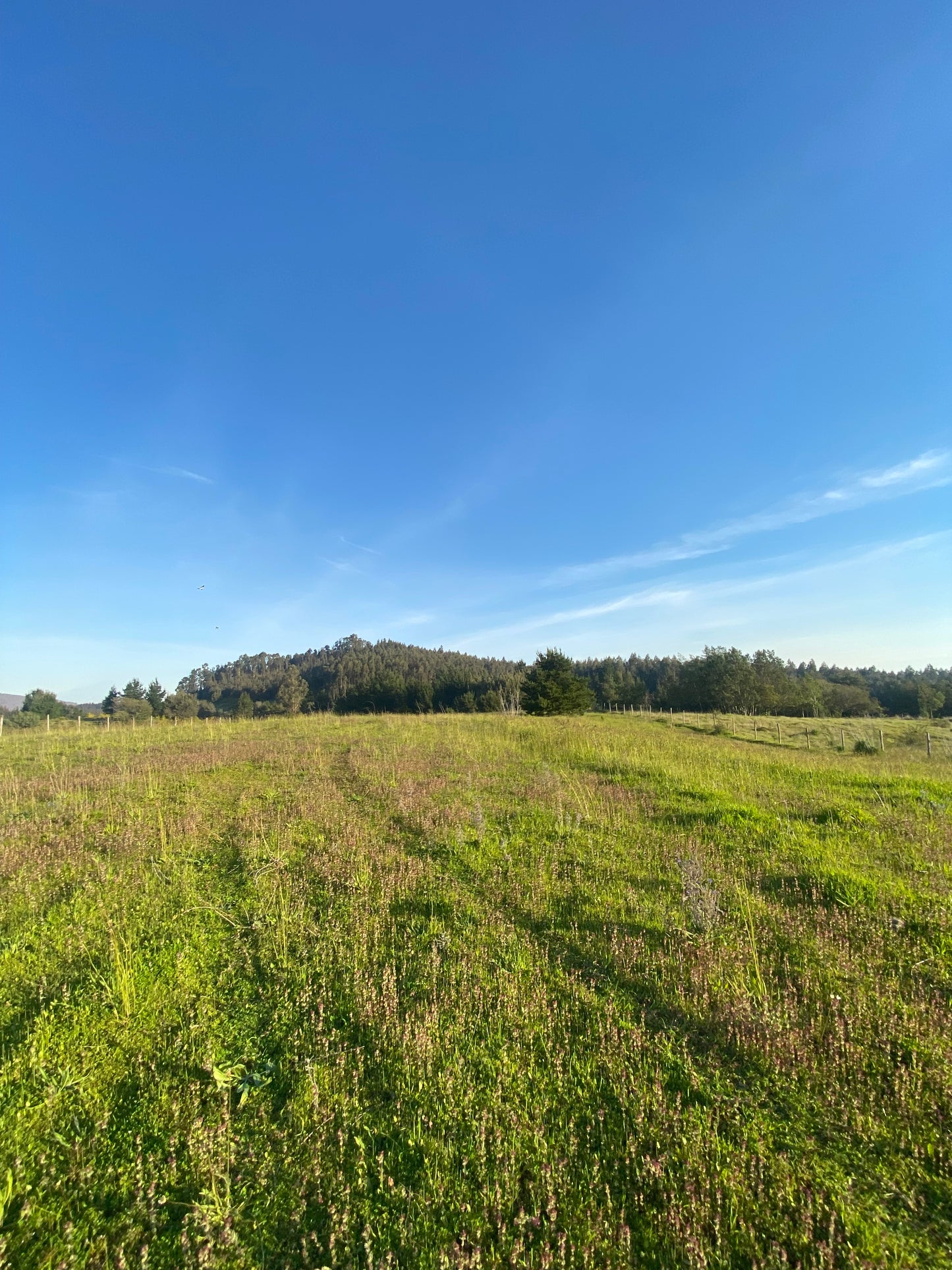 En venta parcela de 1,5 hectáreas en sector La Cabaña, Itraque