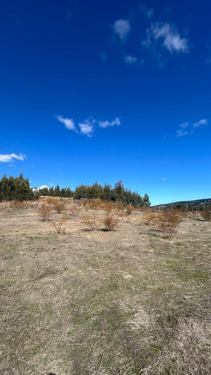 🌿 En venta parcelas en Valle San Juan – Etapa 1 🌿