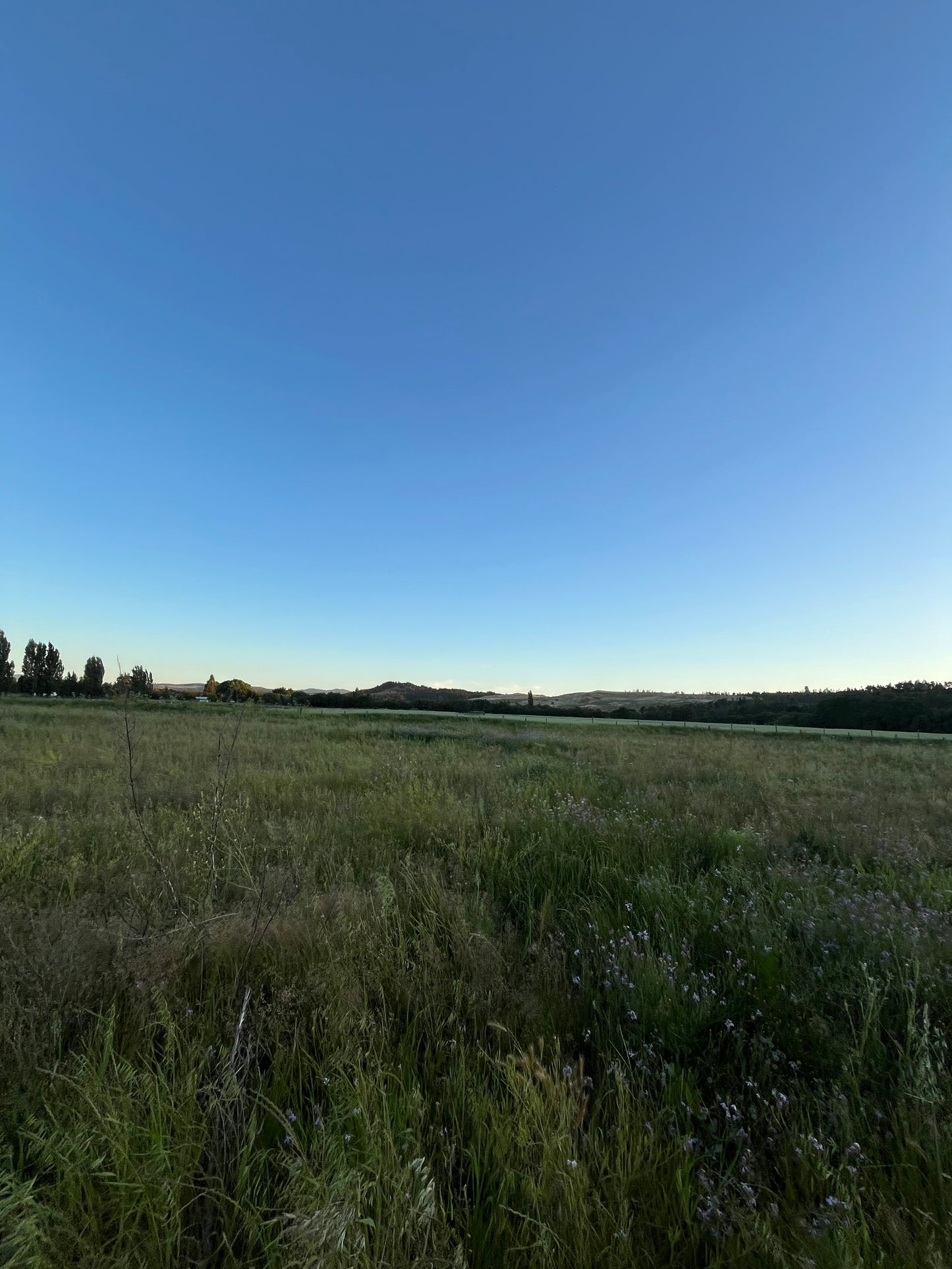 Lote en Venta de 5.000 m² en Sector El Maitén – Camino Interior El Parque