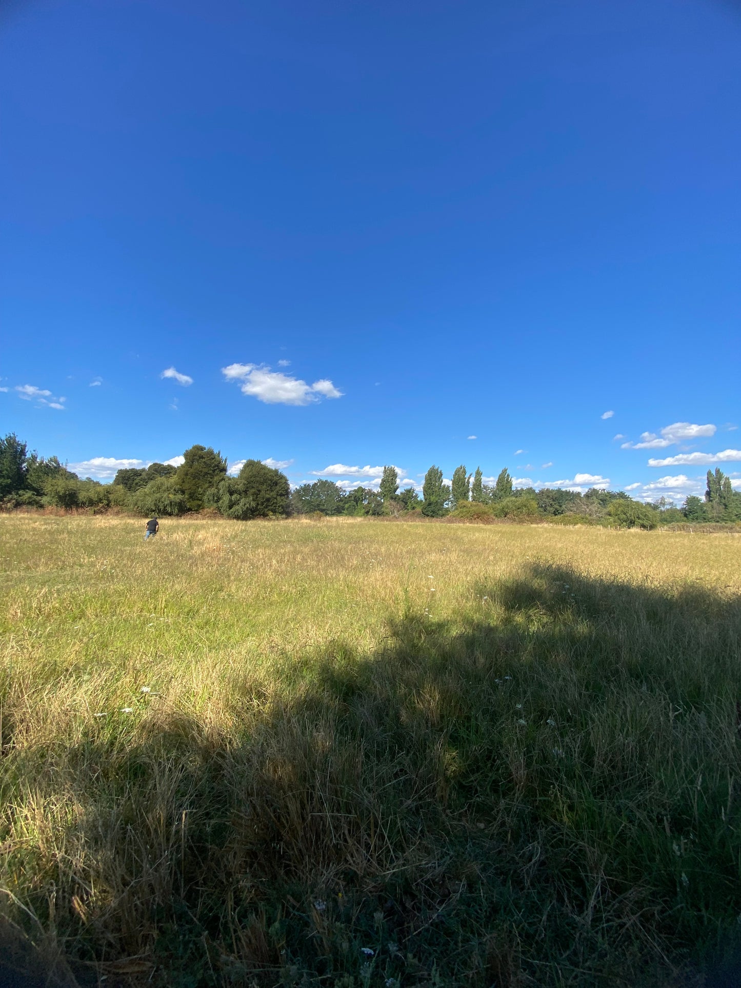 🔷 Parcelas en Venta en Renaico – Sector Casablanca