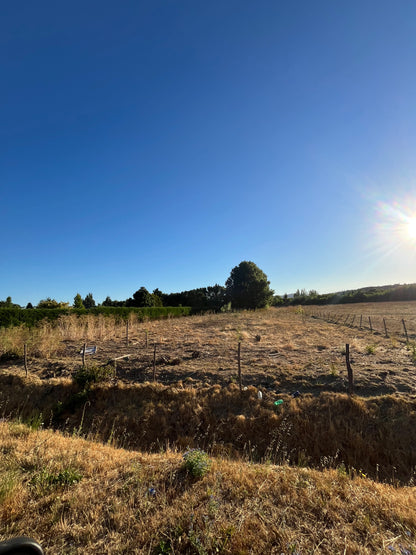 En venta sector El naranjal