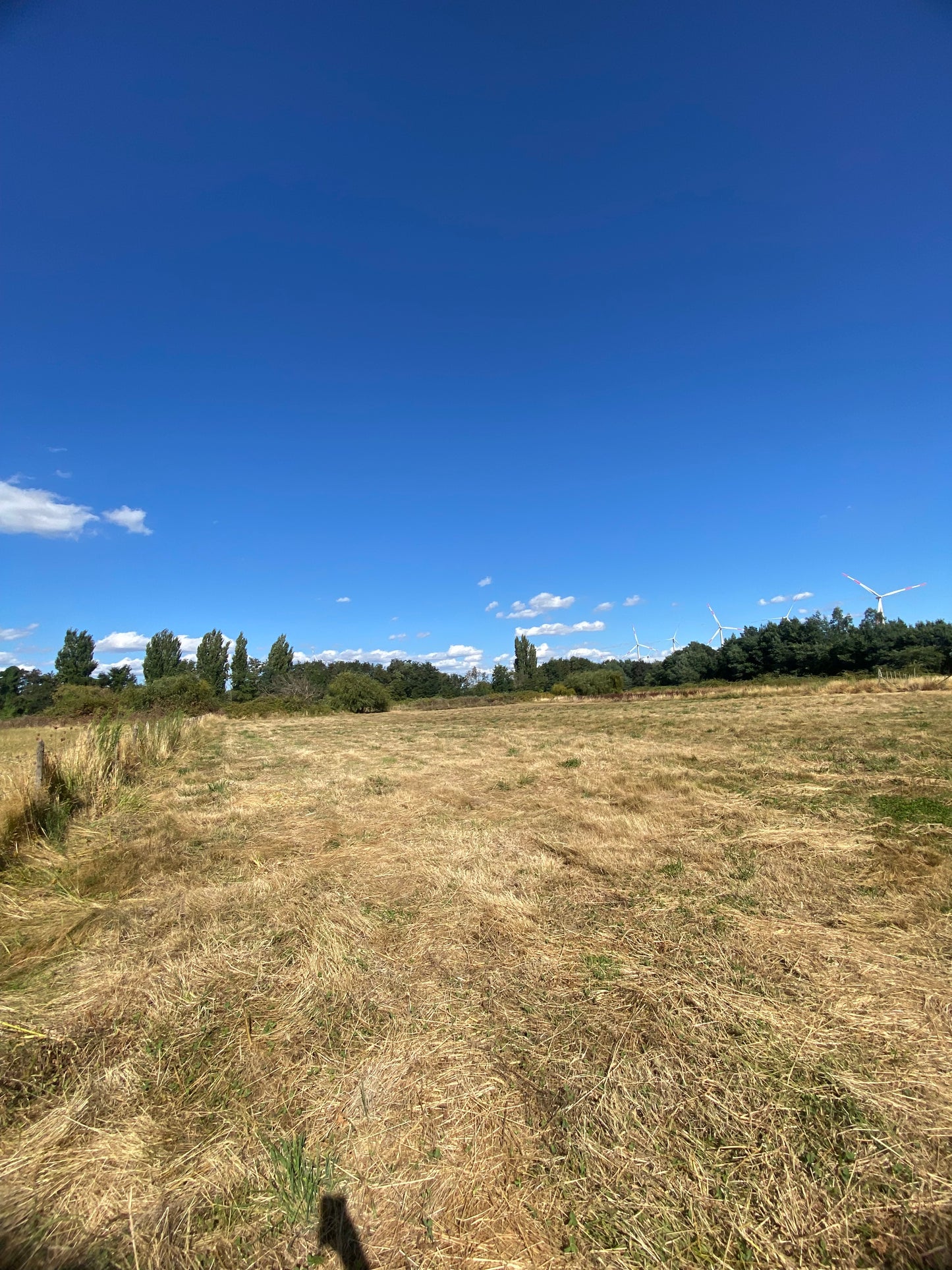 🔷 Parcelas en Venta en Renaico – Sector Casablanca