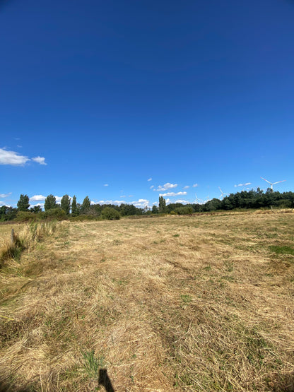 🔷 Parcelas en Venta en Renaico – Sector Casablanca