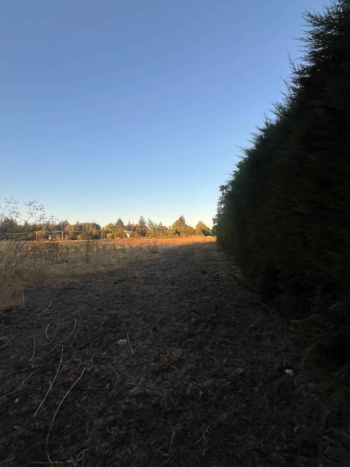 En venta sector El naranjal