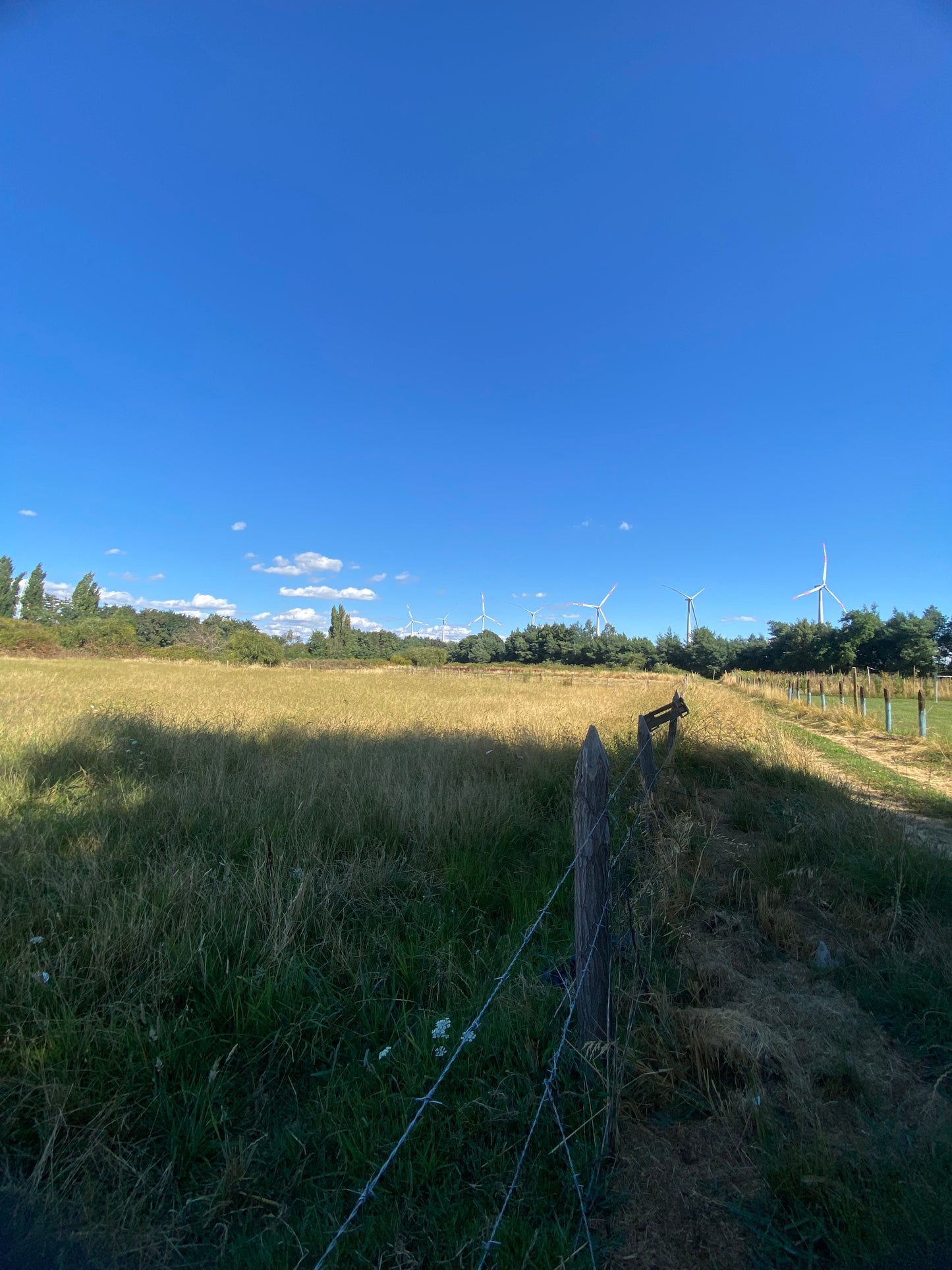 🔷 Parcelas en Venta en Renaico – Sector Casablanca