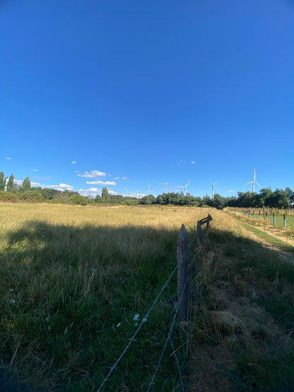 🔷 Parcelas en Venta en Renaico – Sector Casablanca