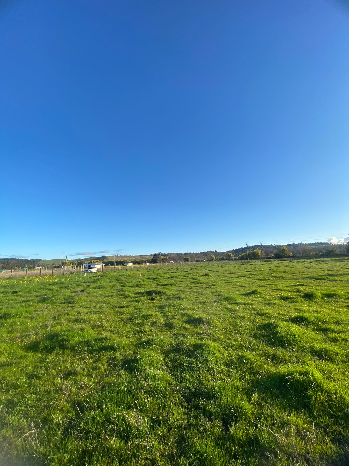 EN VENTA PARCELA 5.000 m² – CAMINO INTERIOR SECTOR EL PARQUE | ANGOL