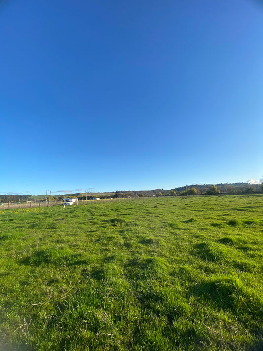 EN VENTA PARCELA 5.000 m² – CAMINO INTERIOR SECTOR EL PARQUE | ANGOL