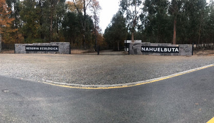Parcela proyecto Eco Nahuelbuta