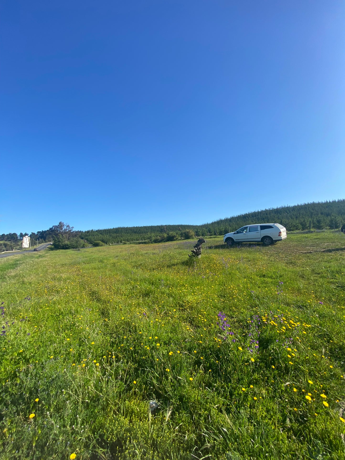 Terreno en venta en Angol – Trintre | 5.000 m² | Ideal proyecto comercial