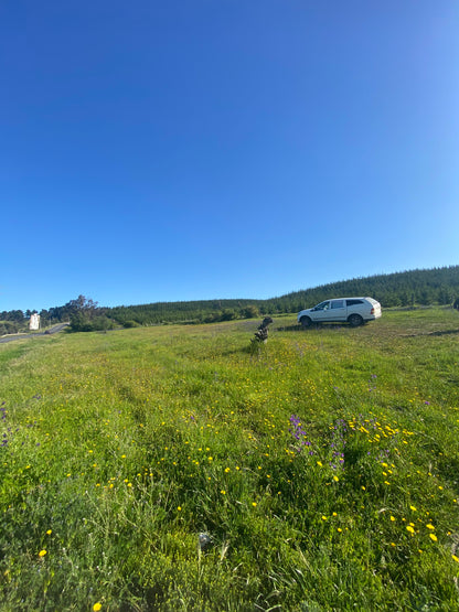 Terreno en venta en Angol – Trintre | 5.000 m² | Ideal proyecto comercial