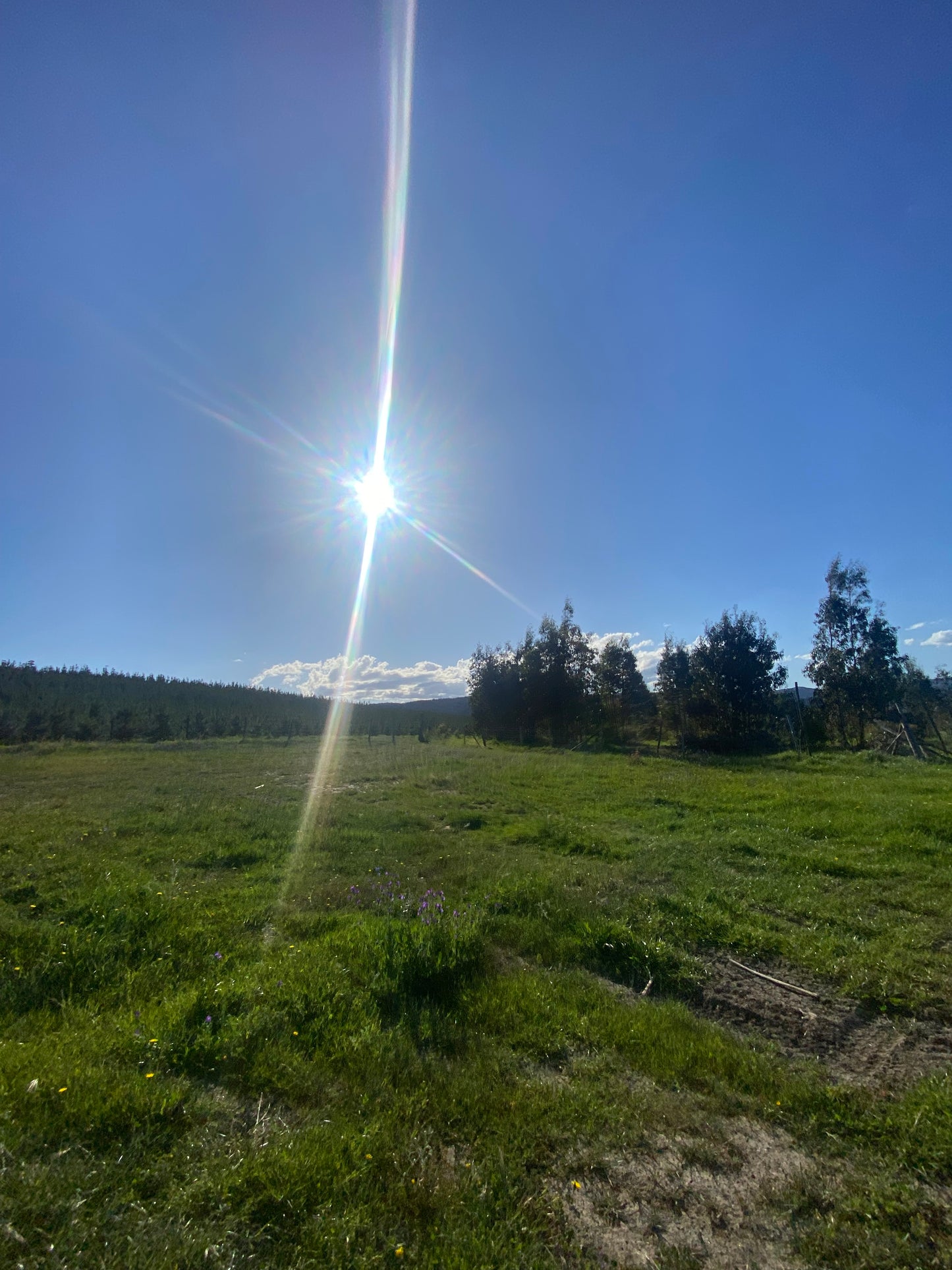 Terreno en venta en Angol – Trintre | 5.000 m² | Ideal proyecto comercial