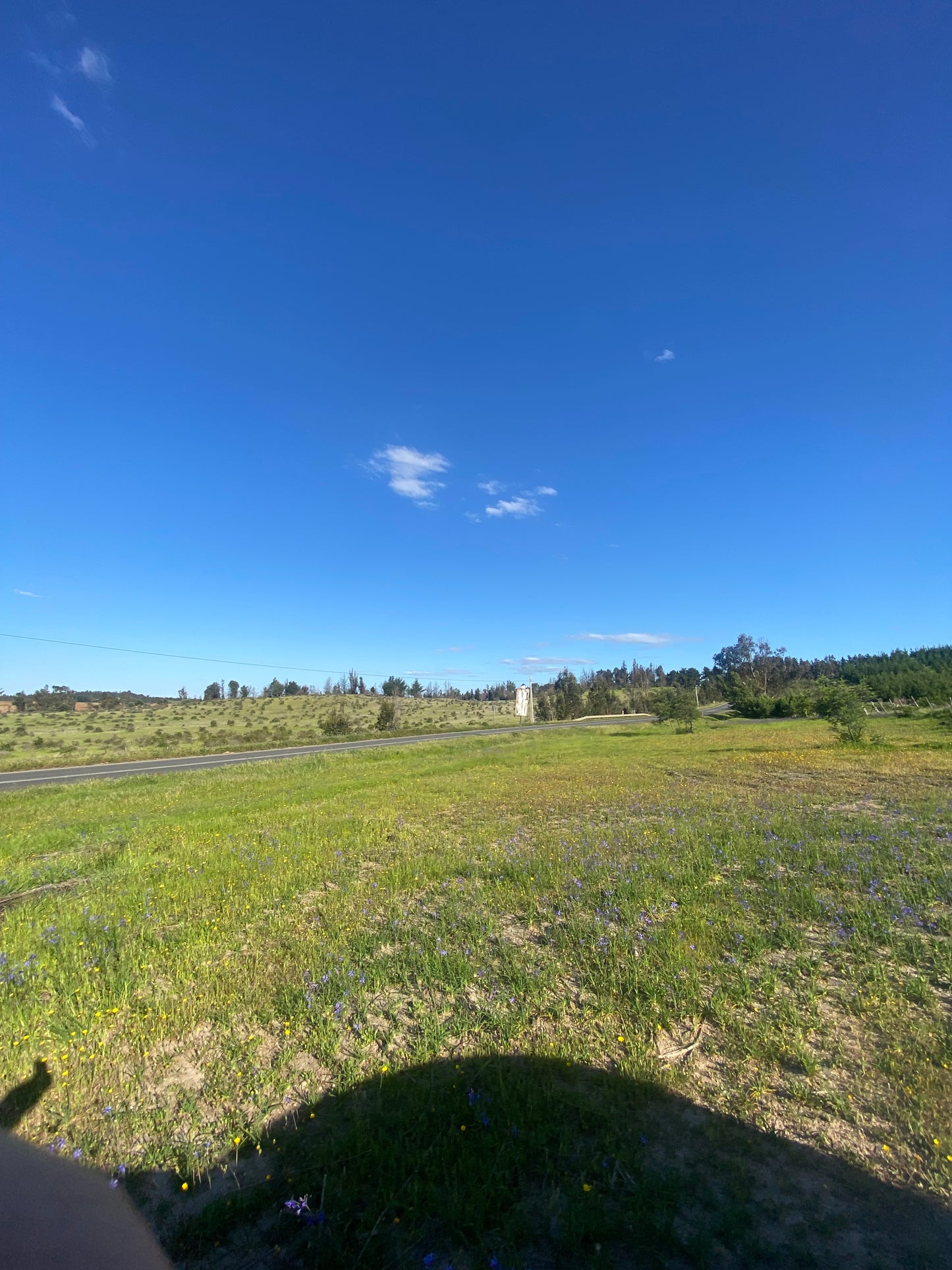 Terreno en venta en Angol – Trintre | 5.000 m² | Ideal proyecto comercial