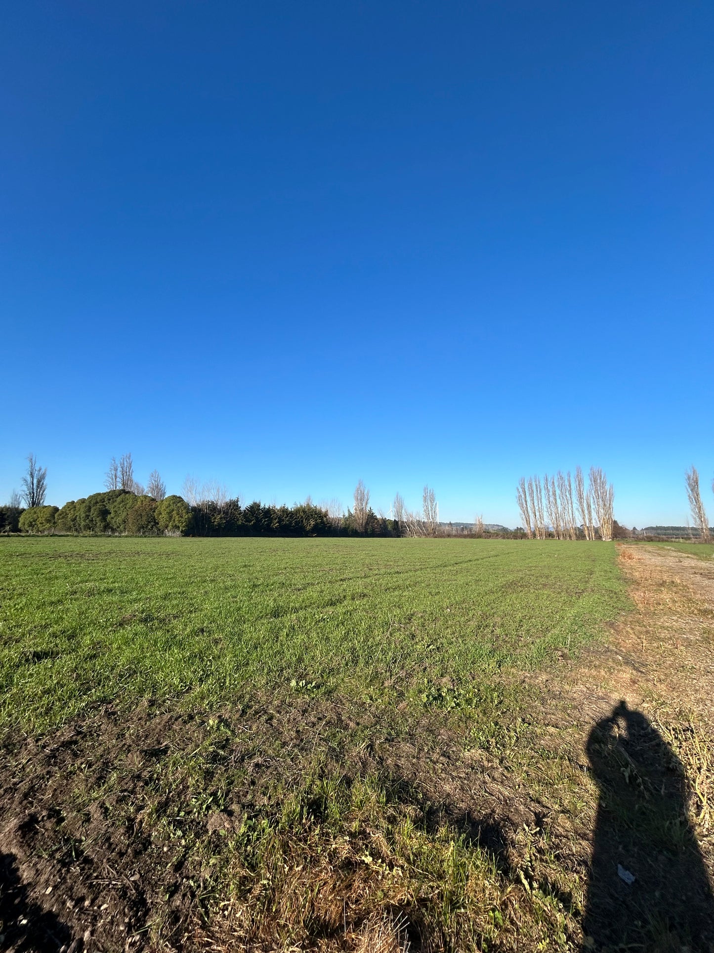 🏡 EN VENTA | EXCLUSIVOS LOTES EN SECTOR SAN GABRIEL – ANGOL