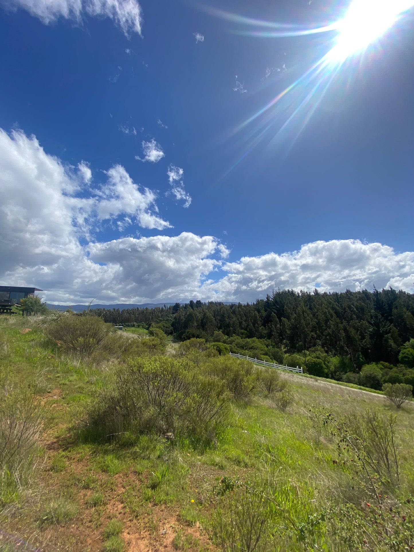 🏡 Parcela en Venta en Proyecto Altos del Olivo | Excelente Oportunidad de Inversión