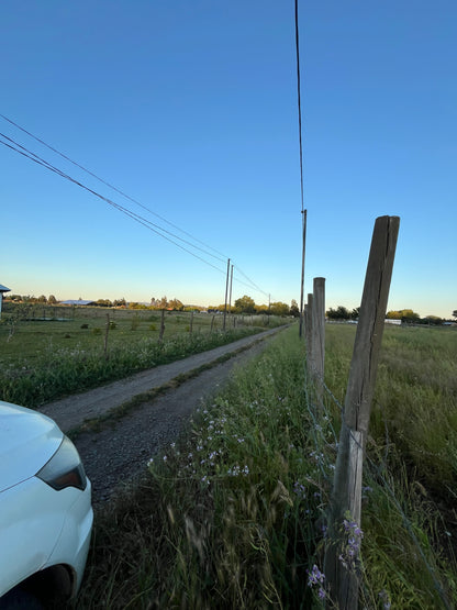 Lote en Venta de 5.000 m² en Sector El Maitén – Camino Interior El Parque