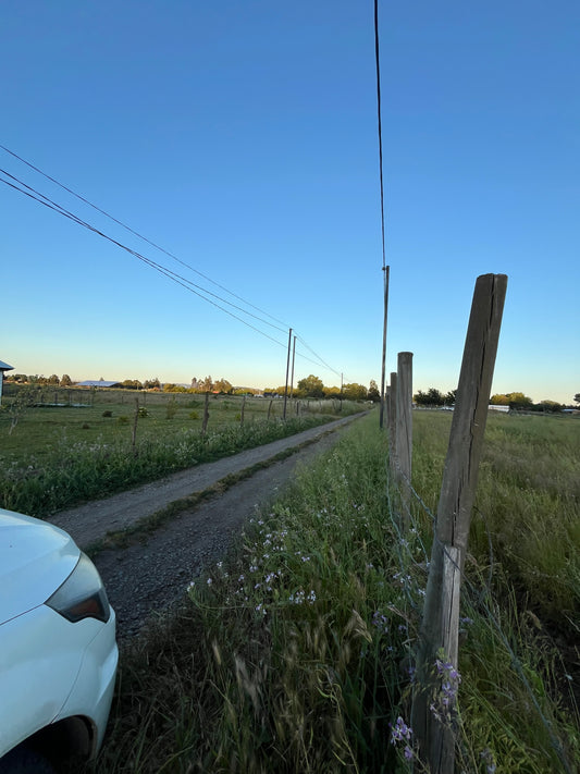 Lote en Venta de 5.000 m² en Sector El Maitén – Camino Interior El Parque