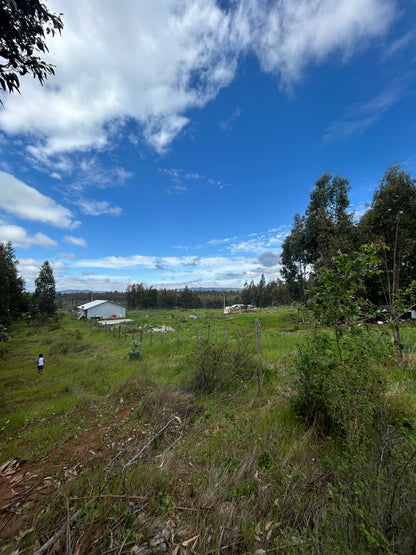 Valle San Juan etapa II