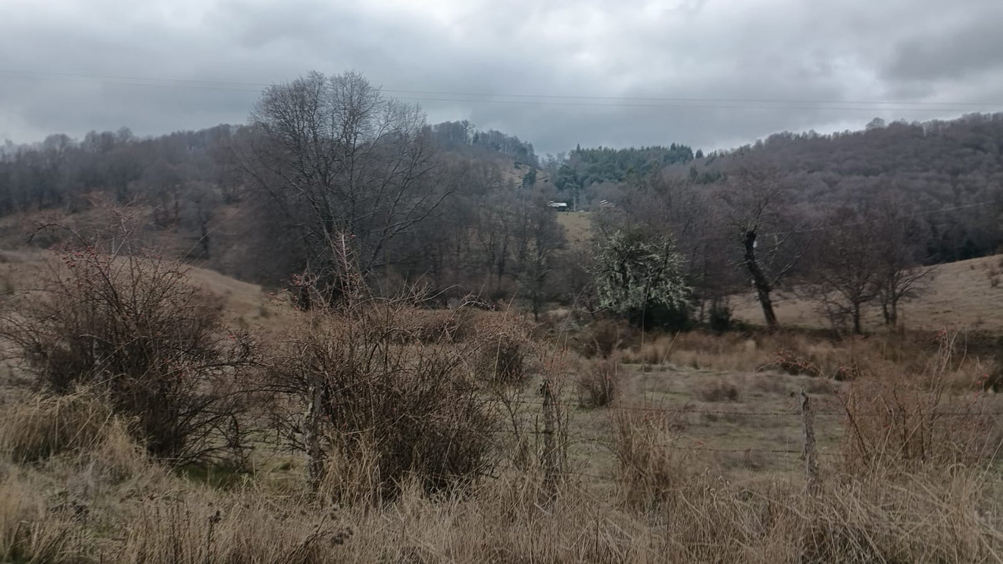 Parcela en Venta – Proyecto Los Robles