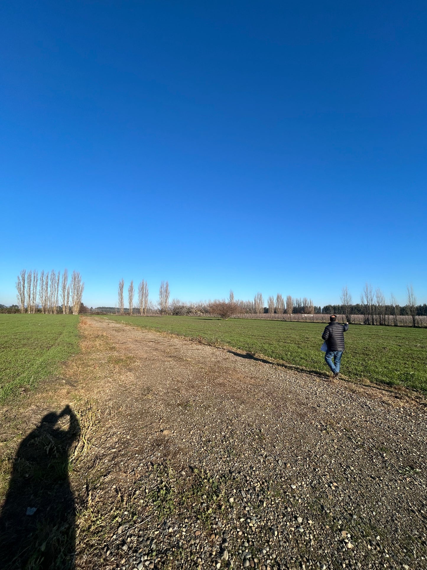 🏡 EN VENTA | EXCLUSIVOS LOTES EN SECTOR SAN GABRIEL – ANGOL