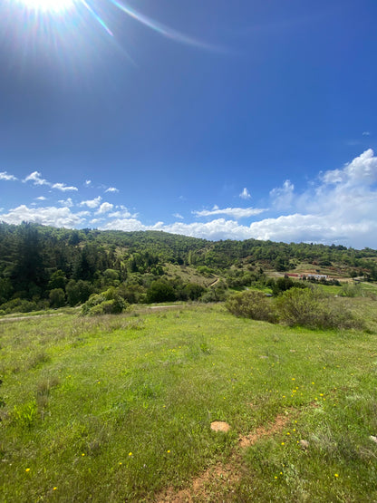 🏡 Parcela en Venta en Proyecto Altos del Olivo | Excelente Oportunidad de Inversión