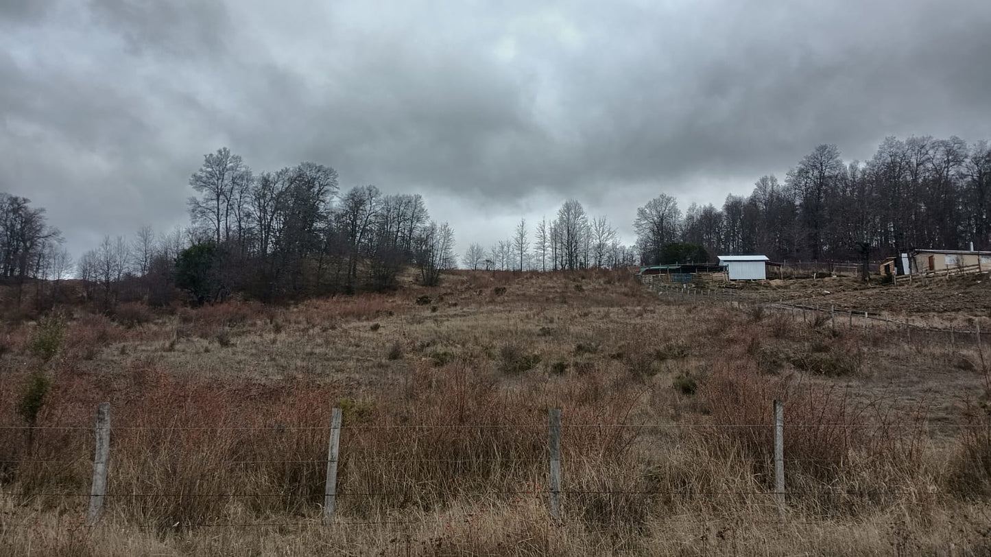 Parcela en Venta – Proyecto Los Robles