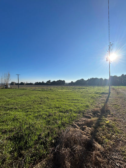 🏡 EN VENTA | EXCLUSIVOS LOTES EN SECTOR SAN GABRIEL – ANGOL