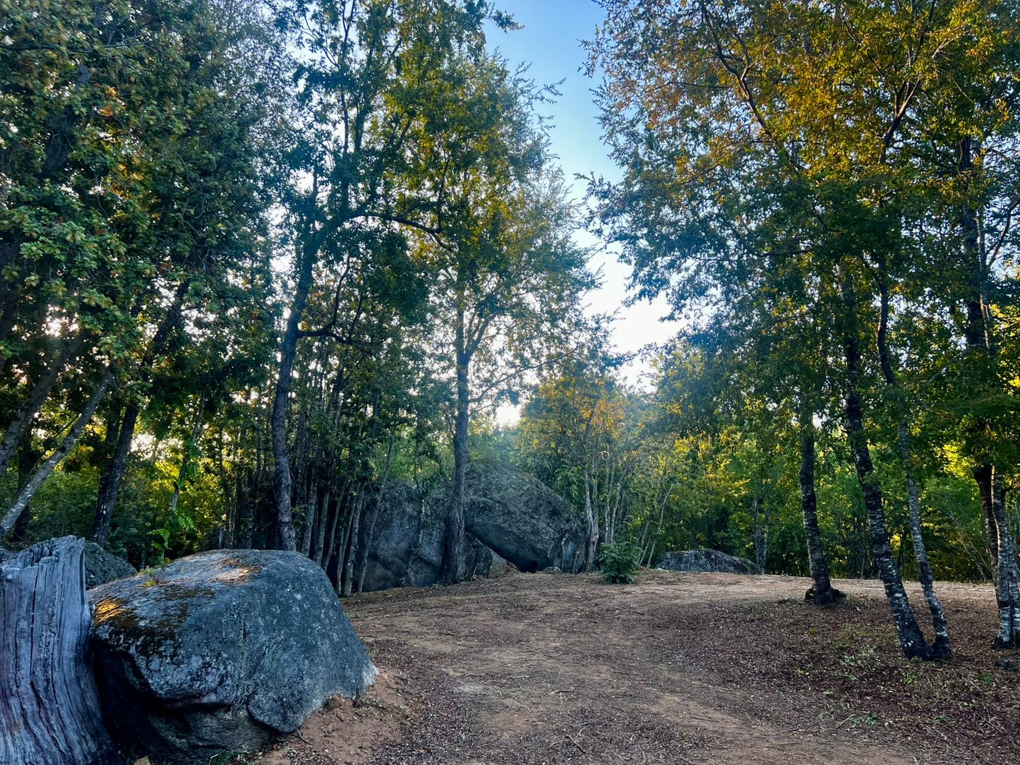 🏡 SE VENDE PARCELA CON CASA EN CONDOMINIO ECO NAHUELBUTA