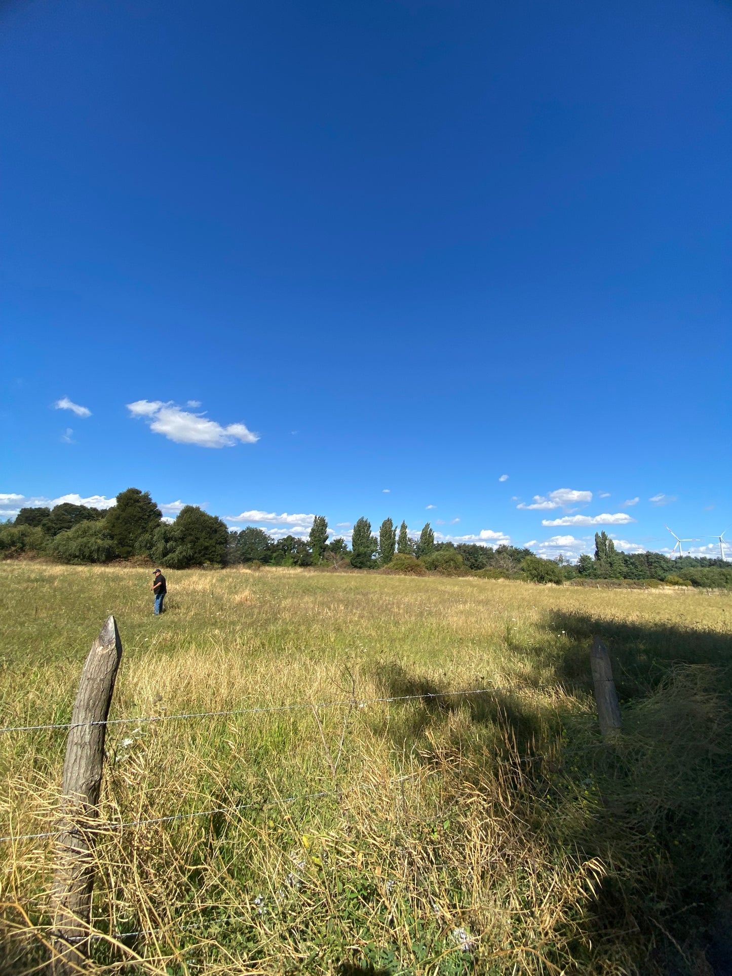 🔷 Parcelas en Venta en Renaico – Sector Casablanca