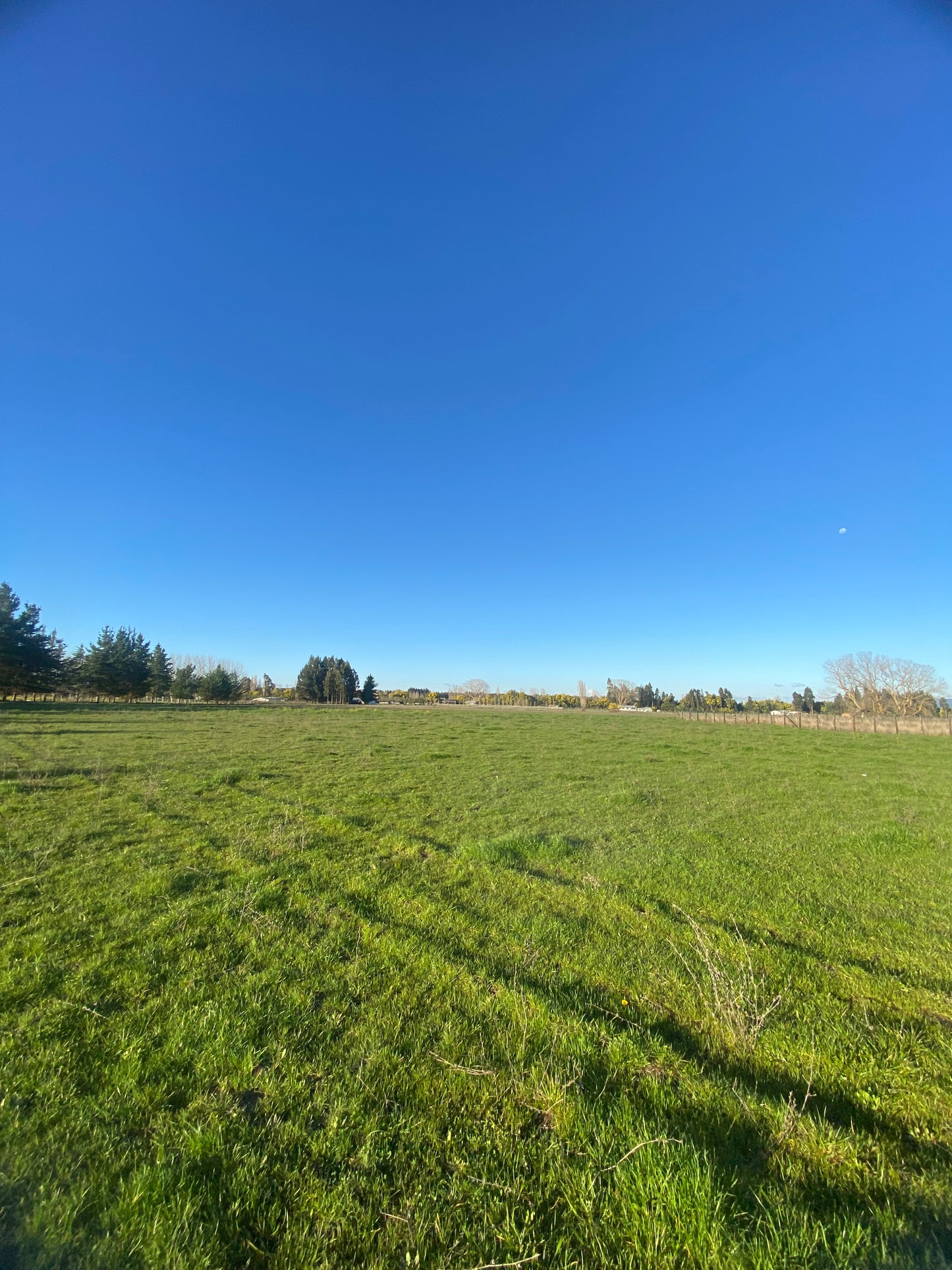 🏡 Proyecto de Parcelas en Venta – Sector El Parque | Crédito Directo