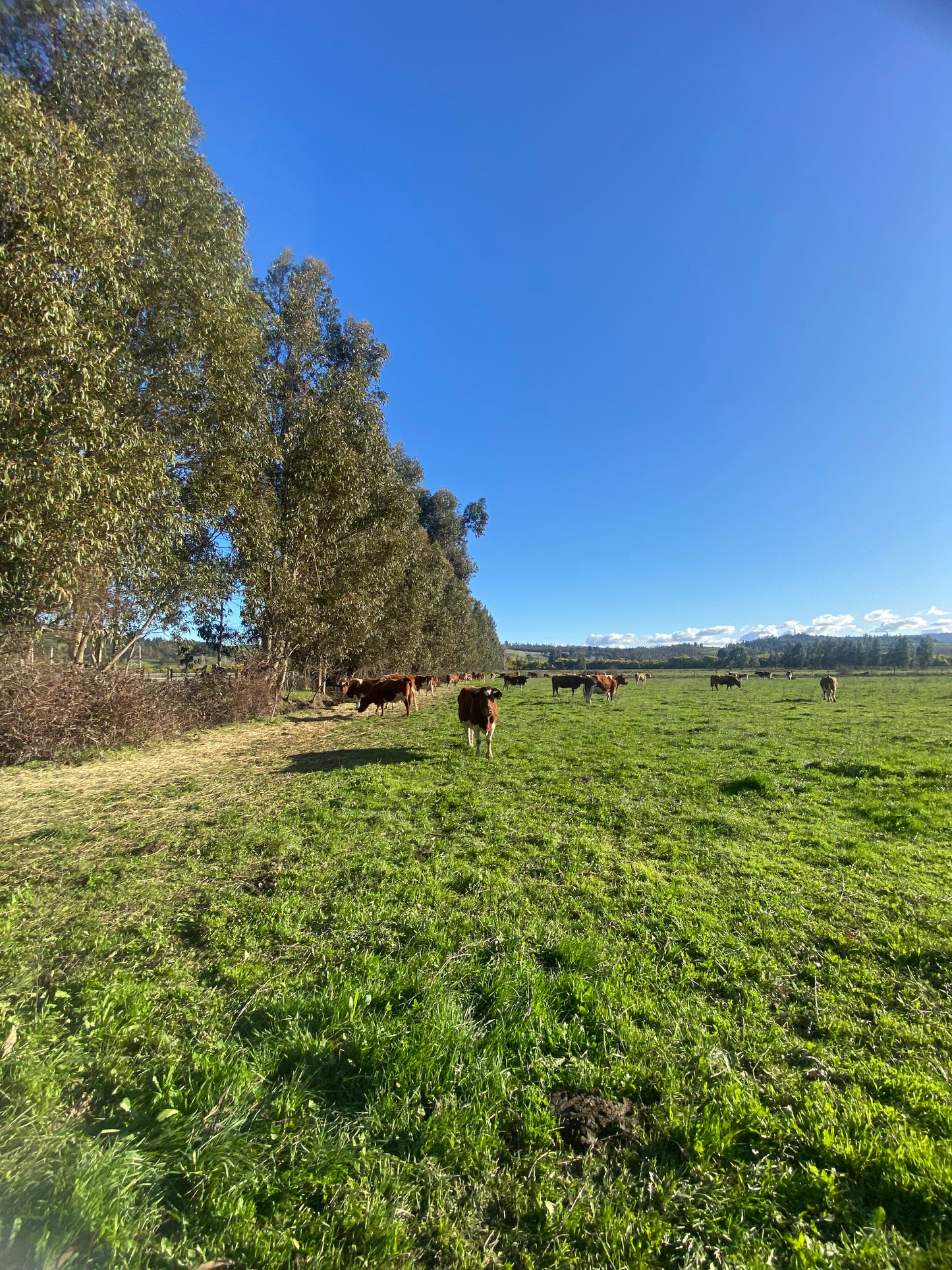 🏡 Proyecto de Parcelas en Venta – Sector El Parque | Crédito Directo