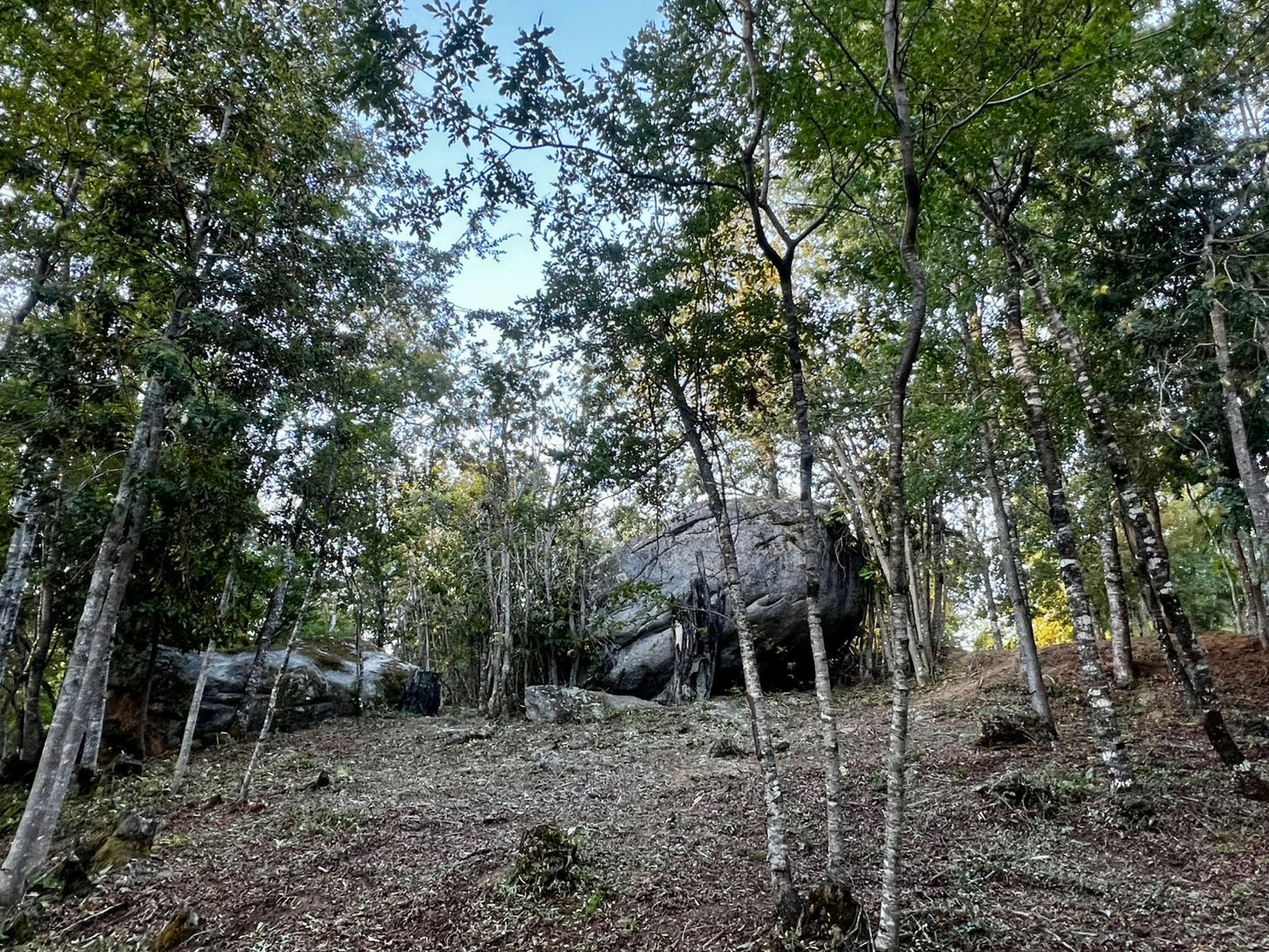 🏡 SE VENDE PARCELA CON CASA EN CONDOMINIO ECO NAHUELBUTA