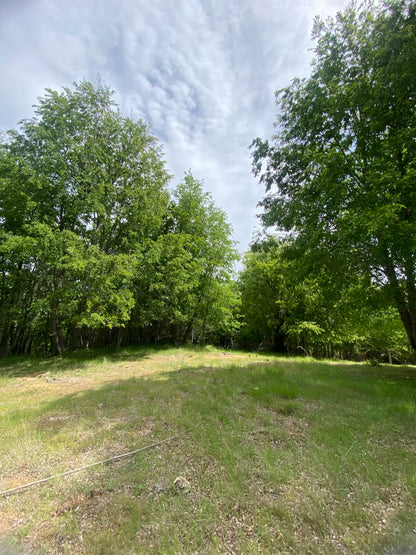 🌄 Proyecto Parcelas Altos de Nahuelbuta – Venta