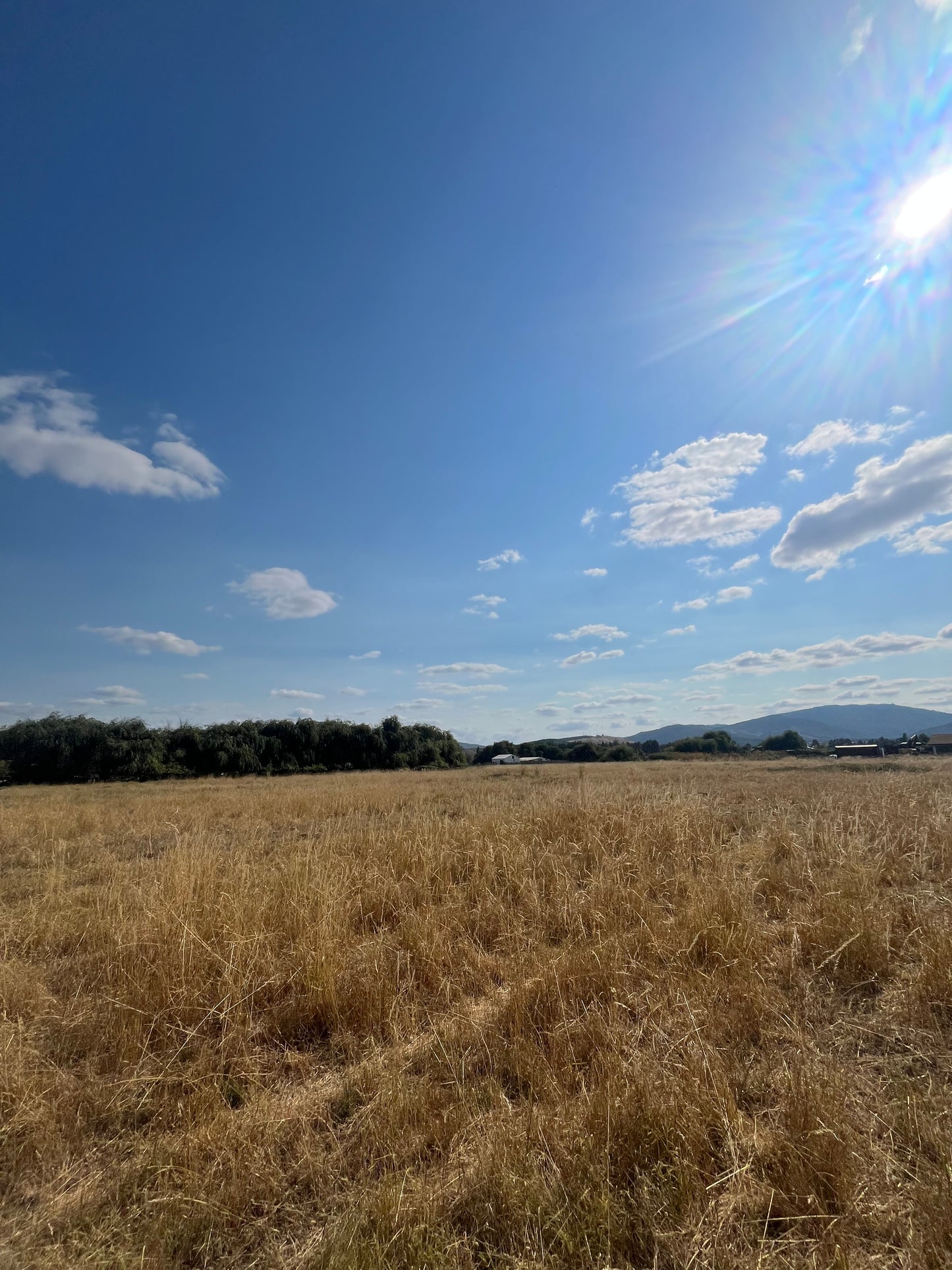 🏞️ Venta de Lotes – Sector Vado, Buenos Aires