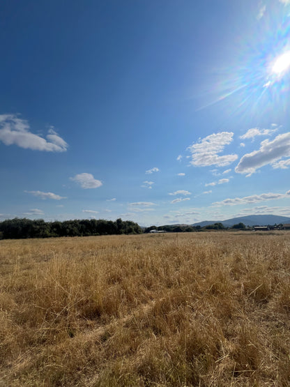 🏞️ Venta de Lotes – Sector Vado, Buenos Aires