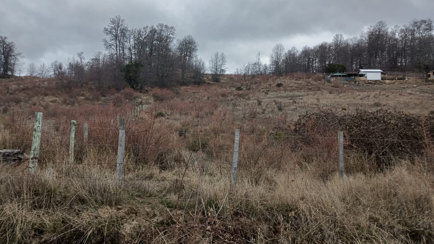 Parcela en Venta – Proyecto Los Robles