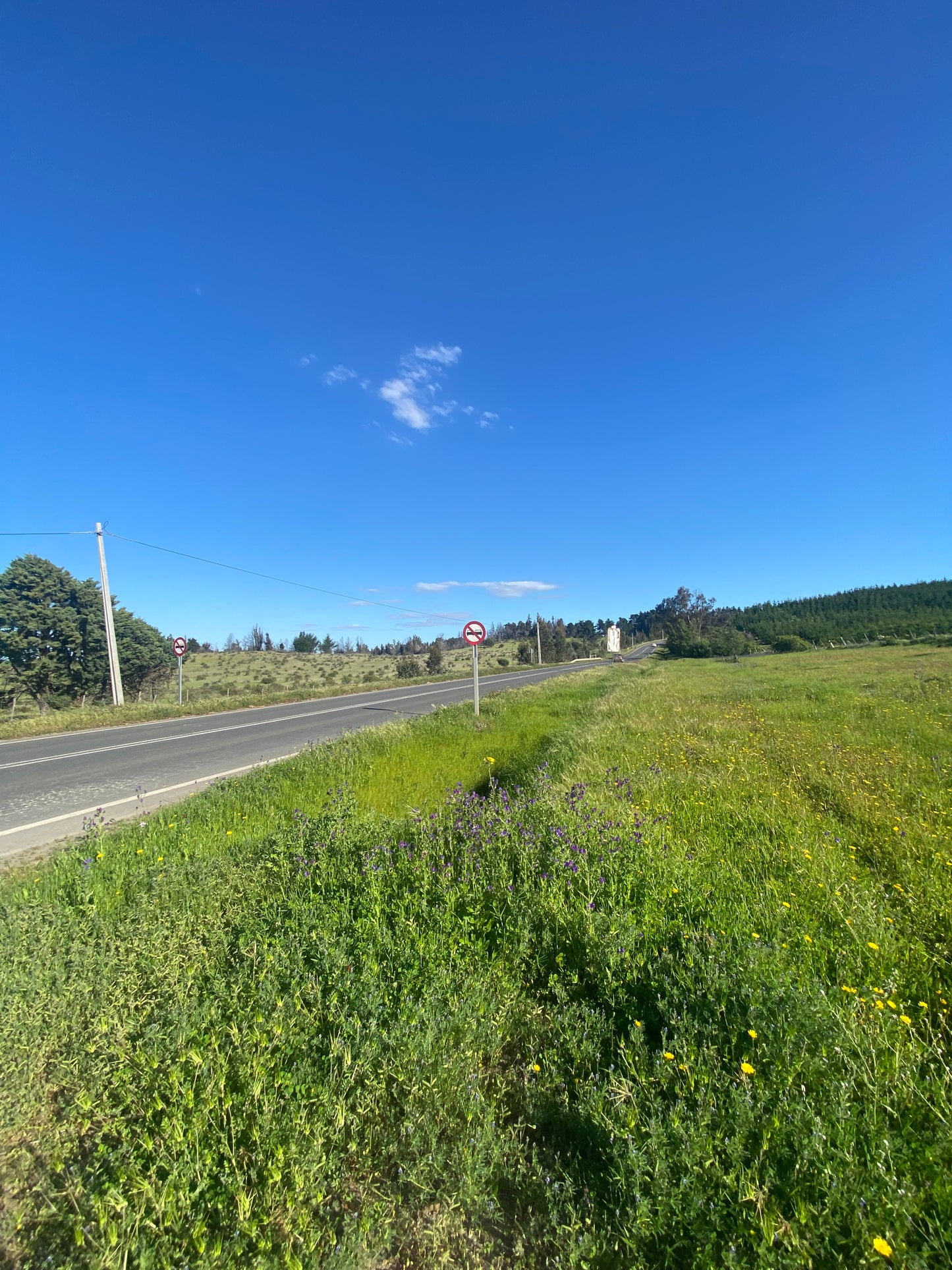 Terreno en venta en Angol – Trintre | 5.000 m² | Ideal proyecto comercial