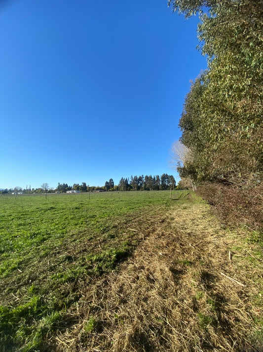 🏡 Proyecto de Parcelas en Venta – Sector El Parque | Crédito Directo